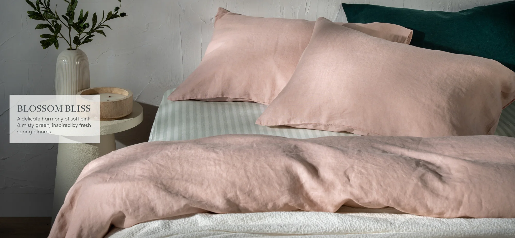 Exceptional Comfort, Fairly Priced