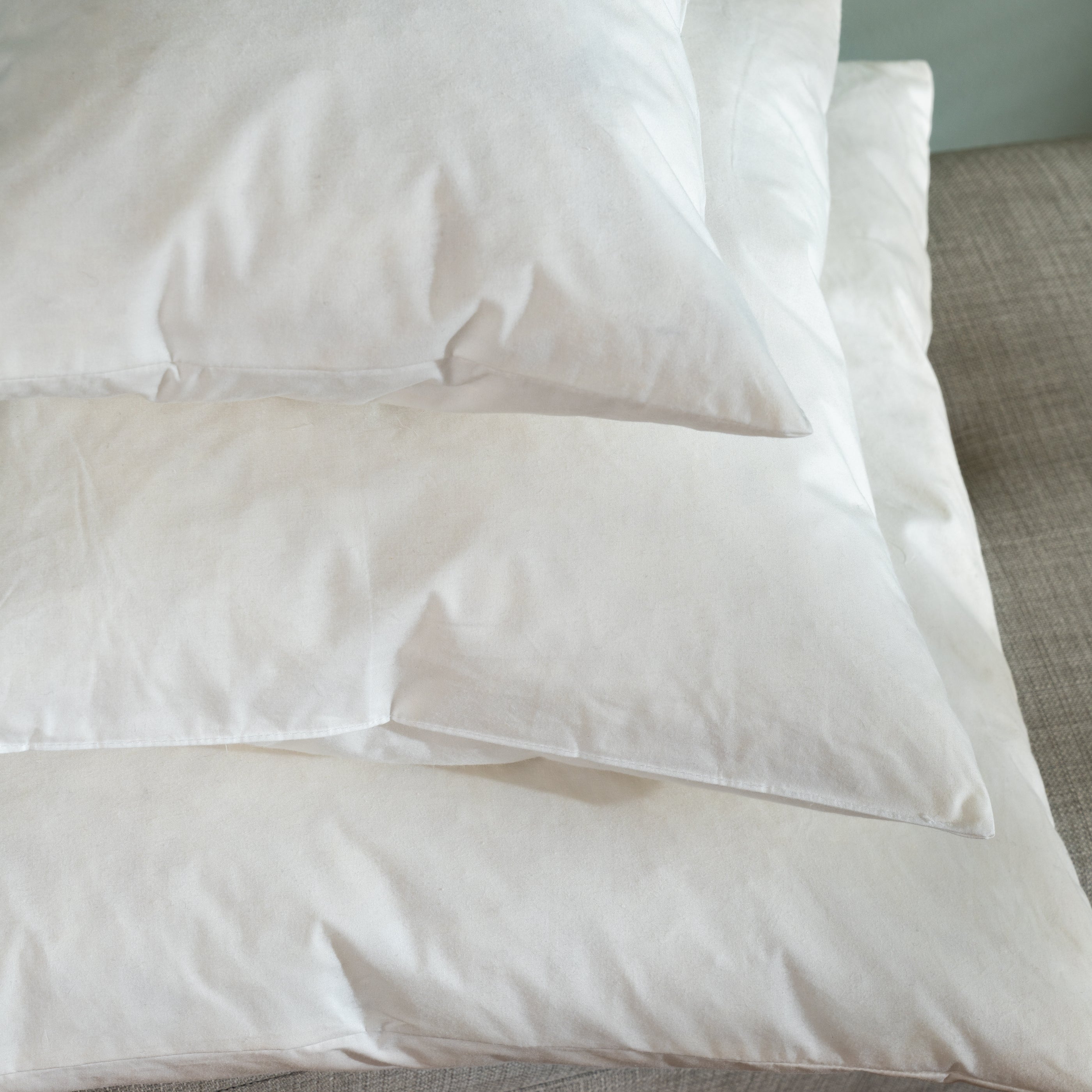 Duck Feather Cushion Pads - Image 2